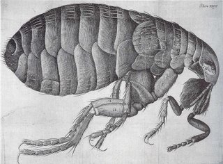 flea.jpg