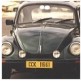 beetle.jpg
