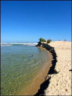 Garden Route