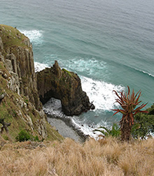 wild_coast1.jpg