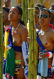 reed_dance.jpg