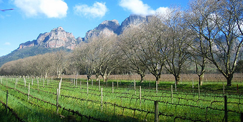 wine-route.jpg