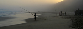 surf-fishing.jpg