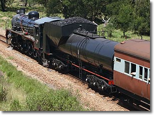 Choo Tjoe