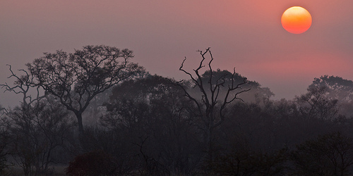 krugersunset