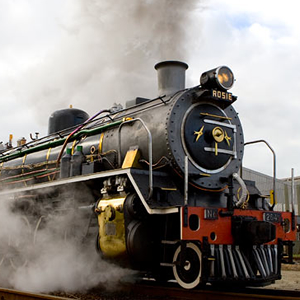 Outeniqua-choo-tjoe