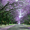 Pretoria