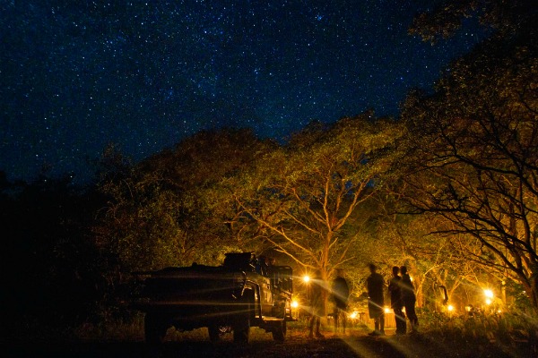 nightsafari